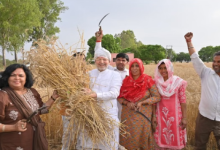 Photo of सहकारिता मंत्री डॉ अरविंद शर्मा ने की लामणी, पत्नी के साथ सोनीपत में गांव बिधल के खेतों में पहुंचे