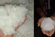 Photo of हरियाणा में 14-15 को बूंदाबांदी के आसार: पहाड़ों पर बर्फबारी का असर दिखाई दे रहा