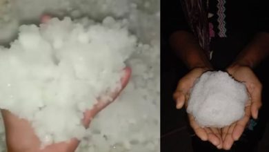 Photo of हरियाणा में 14-15 को बूंदाबांदी के आसार: पहाड़ों पर बर्फबारी का असर दिखाई दे रहा