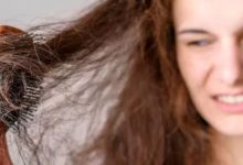 Photo of महंगे शैम्पू के बाद भी टूट रहे हैं बाल? सिर्फ ‘स्ट्रेस’ नहीं, ये 5 कारण हैं हेयर फॉल के असली विलेन