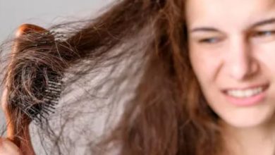 Photo of महंगे शैम्पू के बाद भी टूट रहे हैं बाल? सिर्फ ‘स्ट्रेस’ नहीं, ये 5 कारण हैं हेयर फॉल के असली विलेन