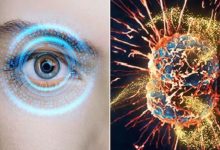 Photo of सिर्फ आंखों की रोशनी ही नहीं, जानलेवा कैंसर के खिलाफ भी ढाल बनेगा ये ‘खास’ न्यूट्रिएंट