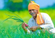 Photo of CM किसान योजना 14वीं किस्त अपडेट: क्या 82 लाख किसानों के खाते में आने वाले हैं ₹4000?