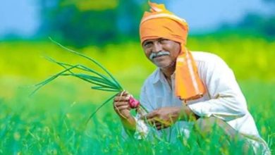 Photo of CM किसान योजना 14वीं किस्त अपडेट: क्या 82 लाख किसानों के खाते में आने वाले हैं ₹4000?