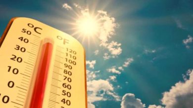 Photo of हरियाणा में हीट का असर तेज, अप्रैल में ही कई जिलों में पारा 40°C के करीब…