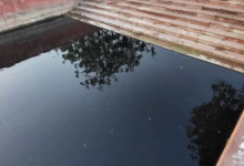 Photo of  श्रीकृष्ण सरोवर का पानी हुआ दूषित! तड़प-तड़प कर मर रहीं मछलियां