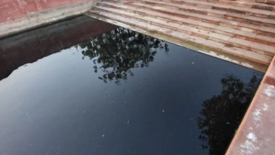 Photo of  श्रीकृष्ण सरोवर का पानी हुआ दूषित! तड़प-तड़प कर मर रहीं मछलियां