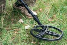 Photo of  डीयू के दो कॉलेजों को बम से उड़ाने की धमकी, खाली कराया गया कैंपस