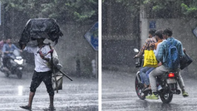 Photo of खड़ी फसल पर मौसम की मार, दिल्ली से यूपी तक बारिश का कहर