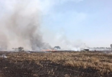 Photo of  एक चिंगारी से राख हुए किसानों के अरमान, किलोई और रुड़की गांव में जली साढ़े 34 एकड़ गेहूं की फसल