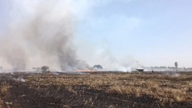 Photo of एक चिंगारी से राख हुए किसानों के अरमान, किलोई और रुड़की गांव में जली साढ़े 34 एकड़ गेहूं की फसल