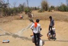 Photo of सागर के युवाओं ने पेश की मिसाल: घायल चिड़िया से शुरू हुआ सफर, अब बेजुबानों के लिए बने फरिश्ते