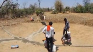 Photo of सागर के युवाओं ने पेश की मिसाल: घायल चिड़िया से शुरू हुआ सफर, अब बेजुबानों के लिए बने फरिश्ते