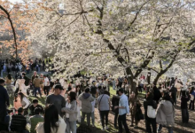 Photo of अमेरिका में इस बार सारे रिकॉर्ड तोड़ेगी गर्मी, 600 जगहों पर दिखेगा असर