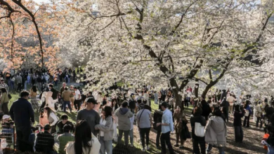 Photo of अमेरिका में इस बार सारे रिकॉर्ड तोड़ेगी गर्मी, 600 जगहों पर दिखेगा असर