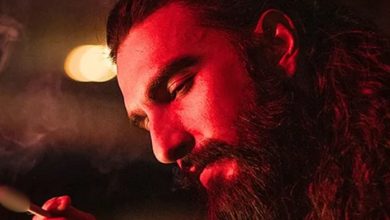 Photo of Dhurandhar 2 ने पुष्पा 2 के बाद एक और फिल्म का सिंहासन जलाकर किया राख