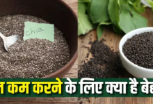 Photo of चिया सीड्स या सब्जा? वजन घटाने के लिए दोनों में से क्या है ज्यादा फायदेमंद