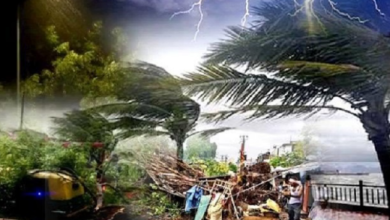 Photo of यूपी: प्रदेश में जानलेवा हुई आंधी-बारिश, रविवार को 12 लोगों की मौत