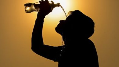 Photo of पंजाब में पारा 41 पार: आने वाले दिनों में नहीं मिलेगी राहत