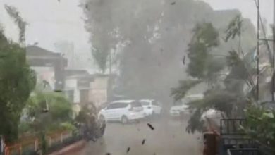 Photo of पंजाब में 48 घंटे भारी, तूफान और गरज-चमक के साथ बारिश का Alert