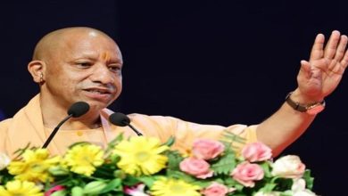 Photo of यूपी फिर बनाएगा रिकॉर्ड, एक दिन में 35 करोड़ पौधे लगाने का लक्ष्य