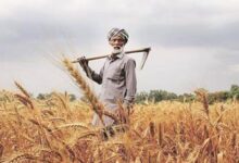 Photo of किसानों के लिए खुशखबरी, कृषि यंत्रों पर मिल रही 50% सब्सिडी