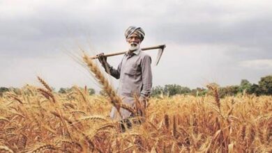 Photo of किसानों के लिए खुशखबरी, कृषि यंत्रों पर मिल रही 50% सब्सिडी