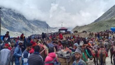 Photo of चारधाम यात्रा: घोड़ा-खच्चरों के संचालन के लिए नई SOP, पीटने और तेज दौड़ाने पर रोक