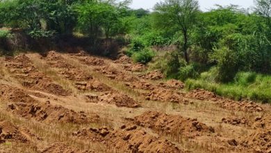 Photo of सेंट्रल रिज के 673 हेक्टेयर को मिला आरक्षित वन का दर्जा