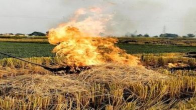 Photo of हरियाणा में पराली जलाने का संकट, 1 दिन में रिकॉर्ड 476 मामले…