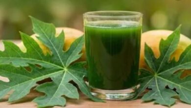 Photo of क्या पपीते के पत्तों का रस वाकई डेंगू ठीक कर सकता है?