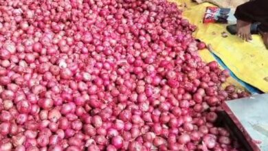 Photo of महाराष्ट्र: प्याज किसानों ने केंद्र से मांगा 10,000 करोड़ का राहत पैकेज