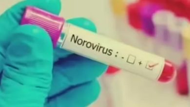 Photo of हंटावायरस के बाद Norovirus की एंट्री, फ्रांस में क्रूज शिप पर पेट संक्रमण का खतरा