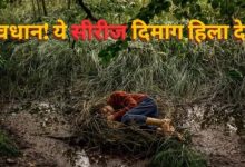 Photo of 6 एपिसोड और रूह कंपाने वाला रोमांच; Netflix पर आई सीरीज ने काटा गदर