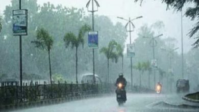 Photo of पंजाब में 2 से 6 मई के बीच बारिश-तूफान का Alert