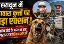 Photo of देहरादून में आवारा कुत्तों की अब खैर नहीं