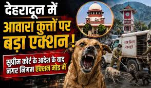 Photo of देहरादून में आवारा कुत्तों की अब खैर नहीं