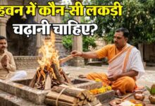 Photo of क्या आम की लकड़ी ही है सबसे श्रेष्ठ? जानिए हवन में समिधा चुनने के शास्त्रीय नियम