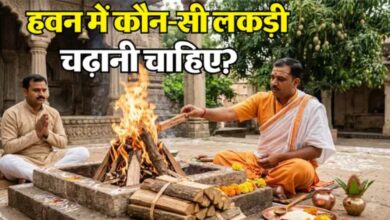 Photo of क्या आम की लकड़ी ही है सबसे श्रेष्ठ? जानिए हवन में समिधा चुनने के शास्त्रीय नियम