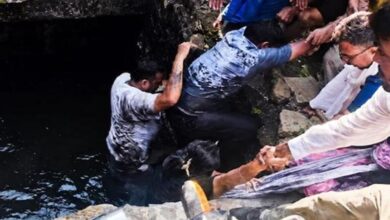 Photo of कानपुर में बड़ा हादसा: बीएड परीक्षा केंद्र के बाहर धंसी जर्जर स्लैब…
