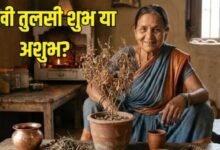 Photo of क्या आपके घर में भी है सूखी तुलसी? नकारात्मक ऊर्जा से बचाव के लिए करें ये छोटा सा काम
