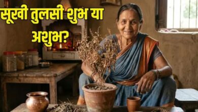 Photo of क्या आपके घर में भी है सूखी तुलसी? नकारात्मक ऊर्जा से बचाव के लिए करें ये छोटा सा काम