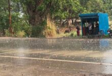 Photo of हरियाणा में 19-20 को आंधी-बारिश के आसार: मौसम विभाग ने जारी किया येलो अलर्ट