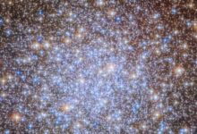 Photo of NASA ने शेयर की झूमर की तरह चमकते पुराने तारों के समूह की तस्वीर