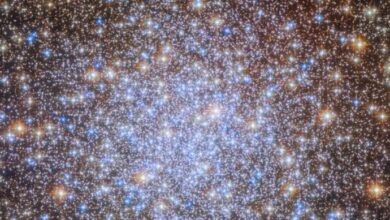 Photo of NASA ने शेयर की झूमर की तरह चमकते पुराने तारों के समूह की तस्वीर
