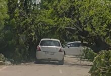 Photo of  देर रात तेज आंधी-बरसात से पारा गिरा, दो दिन का अलर्ट; पावरकाम को 2.06 करोड़ का नुकसान