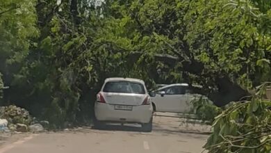 Photo of देर रात तेज आंधी-बरसात से पारा गिरा, दो दिन का अलर्ट; पावरकाम को 2.06 करोड़ का नुकसान