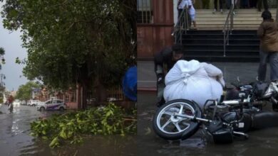Photo of यूपी में आंधी-बिजली से पांच लोगों की मौत, एमपी में एंबुलेंस पर पेड़ गिरा