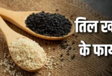 Photo of दिखने में छोटे, लेकिन फायदों में बड़े! दूध से ज्यादा कैल्शियम देता है तिल