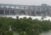 Photo of 22 फीट बढ़ा भाखड़ा का जलस्तर: पिछले साल से फिर भी नीचे, तीन राज्यों-चंडीगढ़ में गहरा सकता है जल संकट